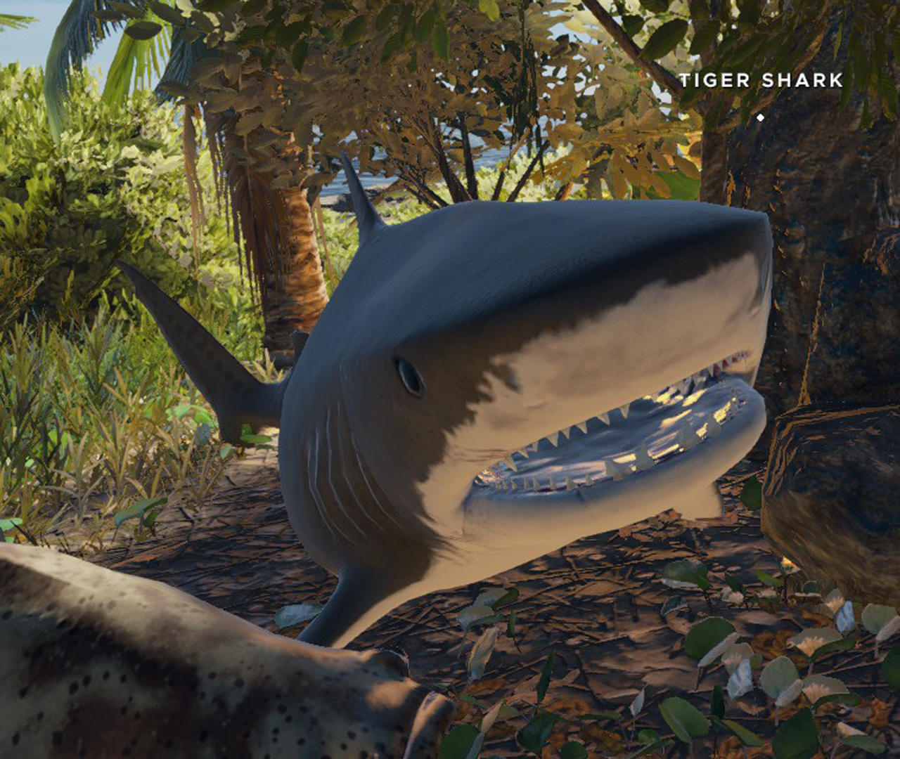 Stranded Deep Wikia