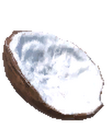Coconut Half Stranded Deep Wiki Fandom