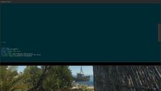 Dev console