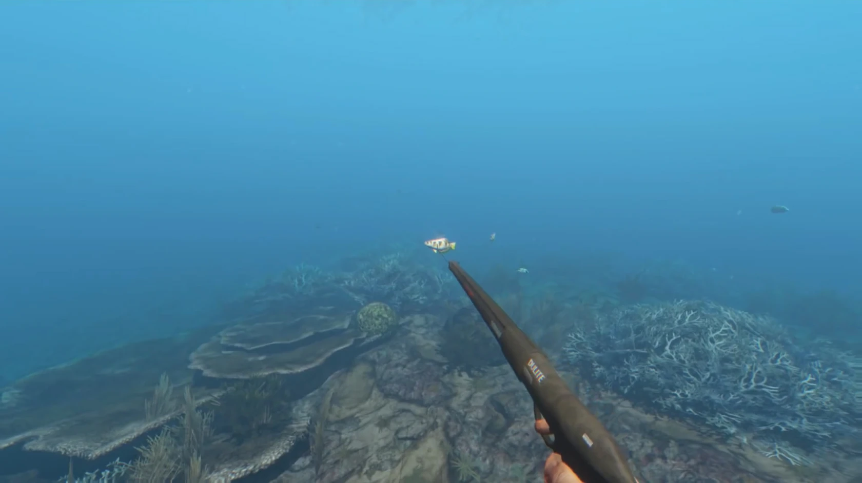 Spear gun Stranded Deep Wiki FANDOM powered by Wikia