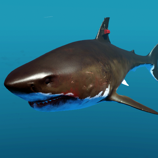 Megalodon | Stranded Deep Wiki | FANDOM powered by Wikia