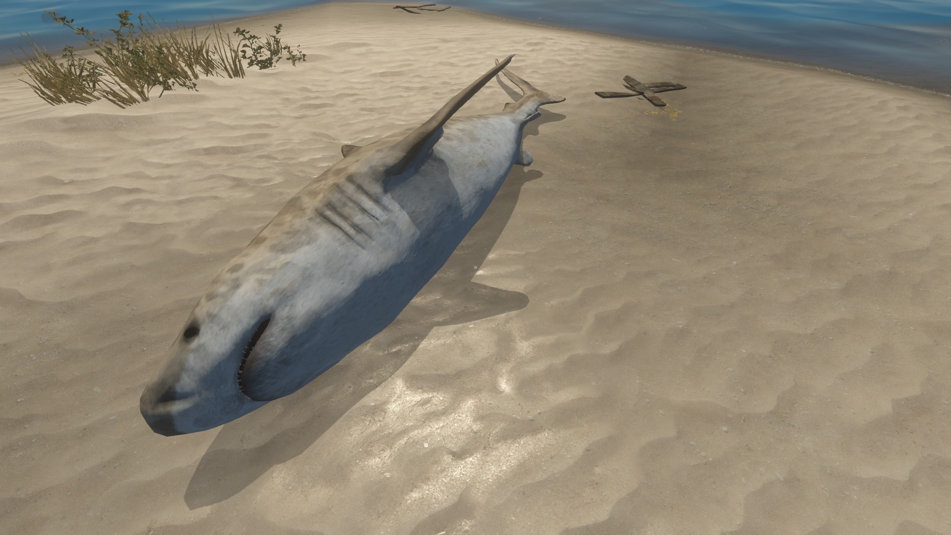 Tigerhai | Stranded Deep Wiki | Fandom