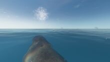 Humpback