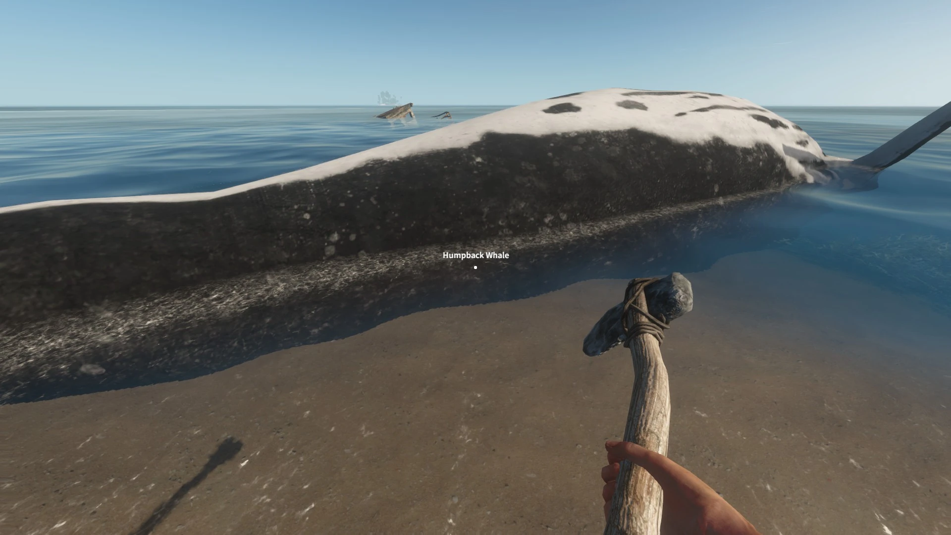 Image - 2015-02-01 00016.jpg | Stranded Deep Wiki | FANDOM powered by Wikia