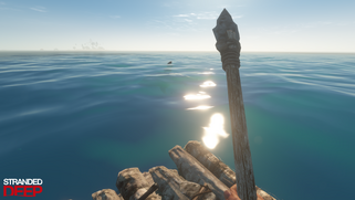 Shark-raft wm
