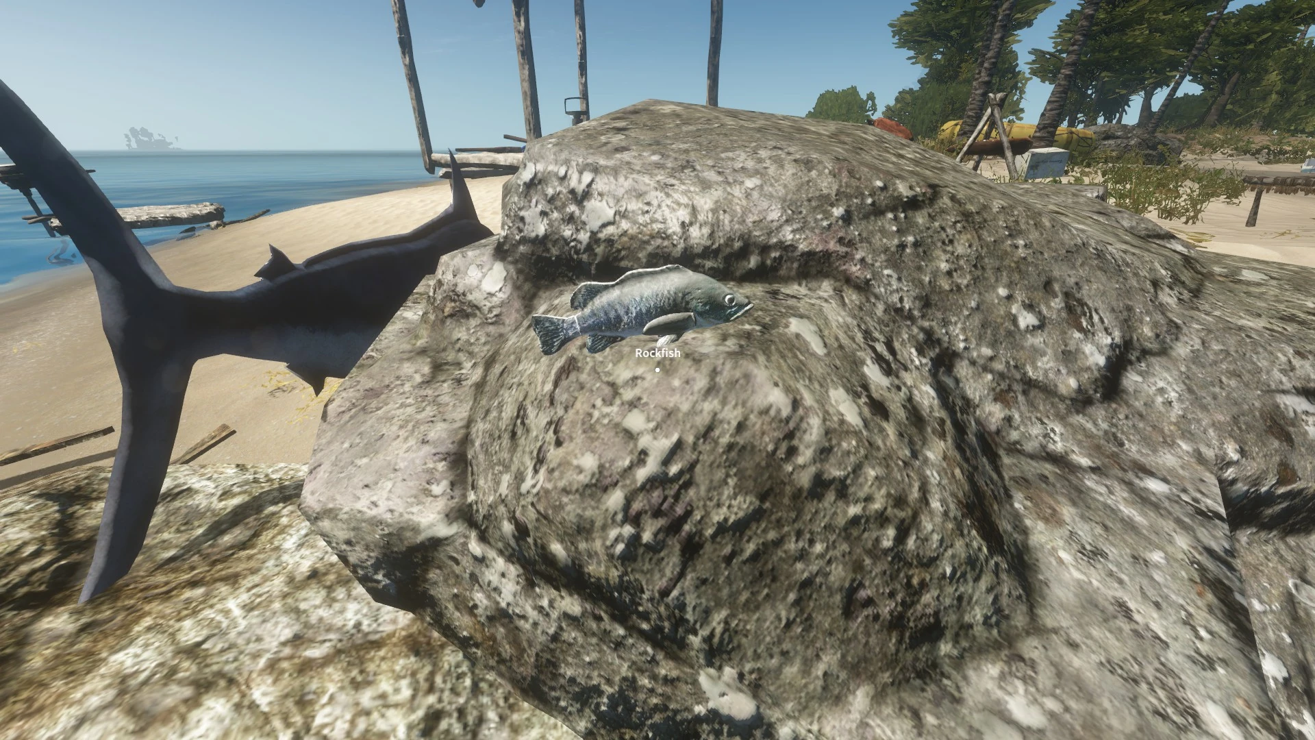 Rockfish Stranded Deep Wiki FANDOM powered by Wikia
