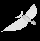 Bird01