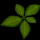 Herb01