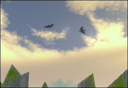 Birds