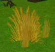 Grain stranded 2