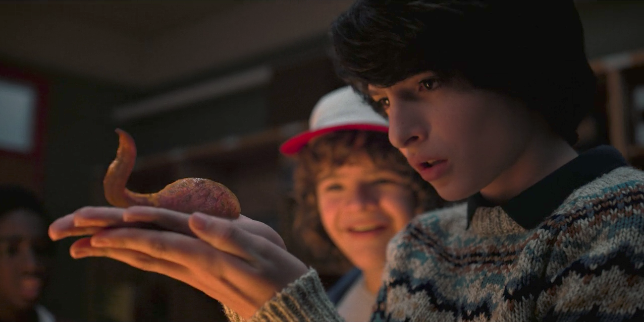 Demogorgon | Stranger Things Wikia | FANDOM powered by Wikia