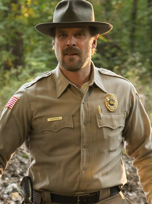 Resultado de imagen de chief hopper stranger things