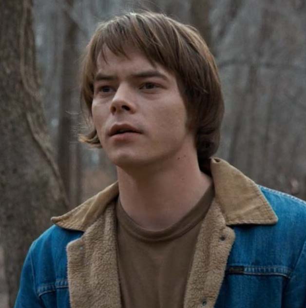 List 93+ Wallpaper Pictures Of Jonathan From Stranger Things Superb
