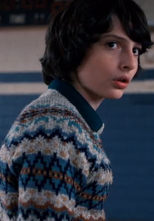 Mike Wheeler | Stranger Things Wiki | FANDOM powered by Wikia