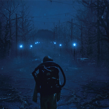 The Upside Down Stranger Things Wiki Fandom