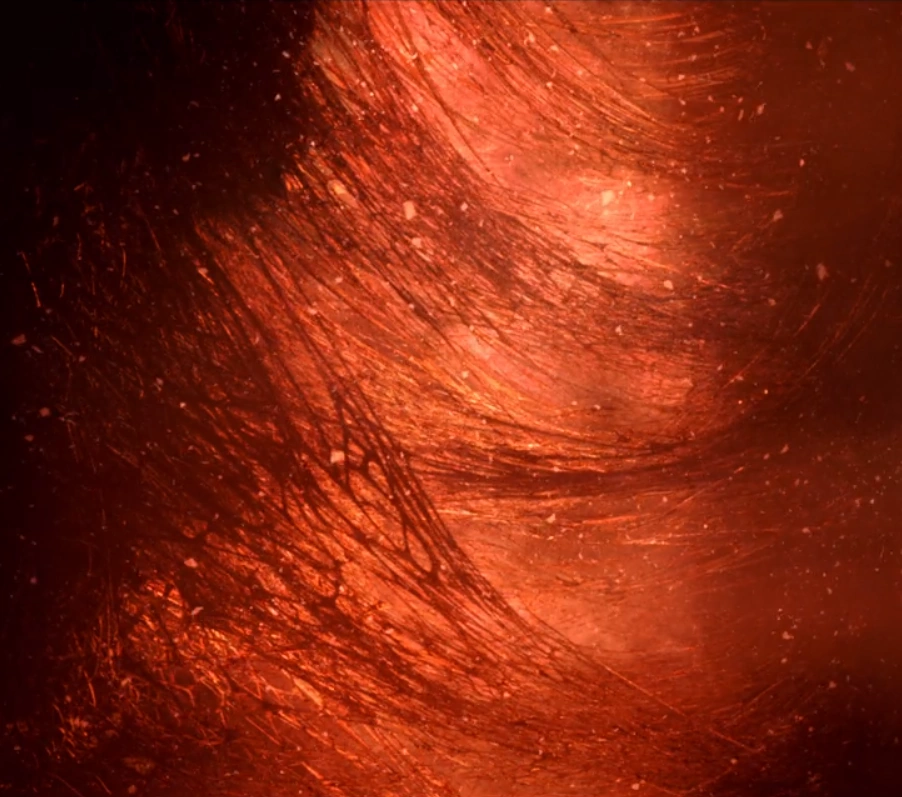 Gate Stranger Things Wiki Fandom