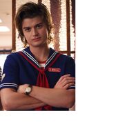 Steve Harrington Stranger Things Wiki Fandom