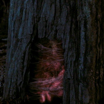 Portals Stranger Things Wiki Fandom