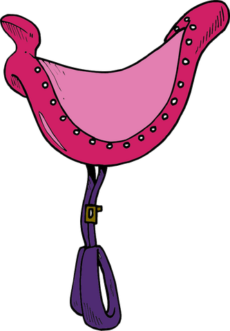 File:High-Note's saddle.png