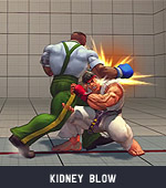 Dudley-kidney-blow