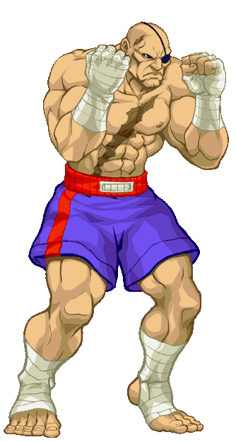 sagat street fighter iii 3rd strike sagat street fighter iii 3rd strike
