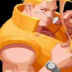 Charlie Nash Street Fighter Wiki Fandom