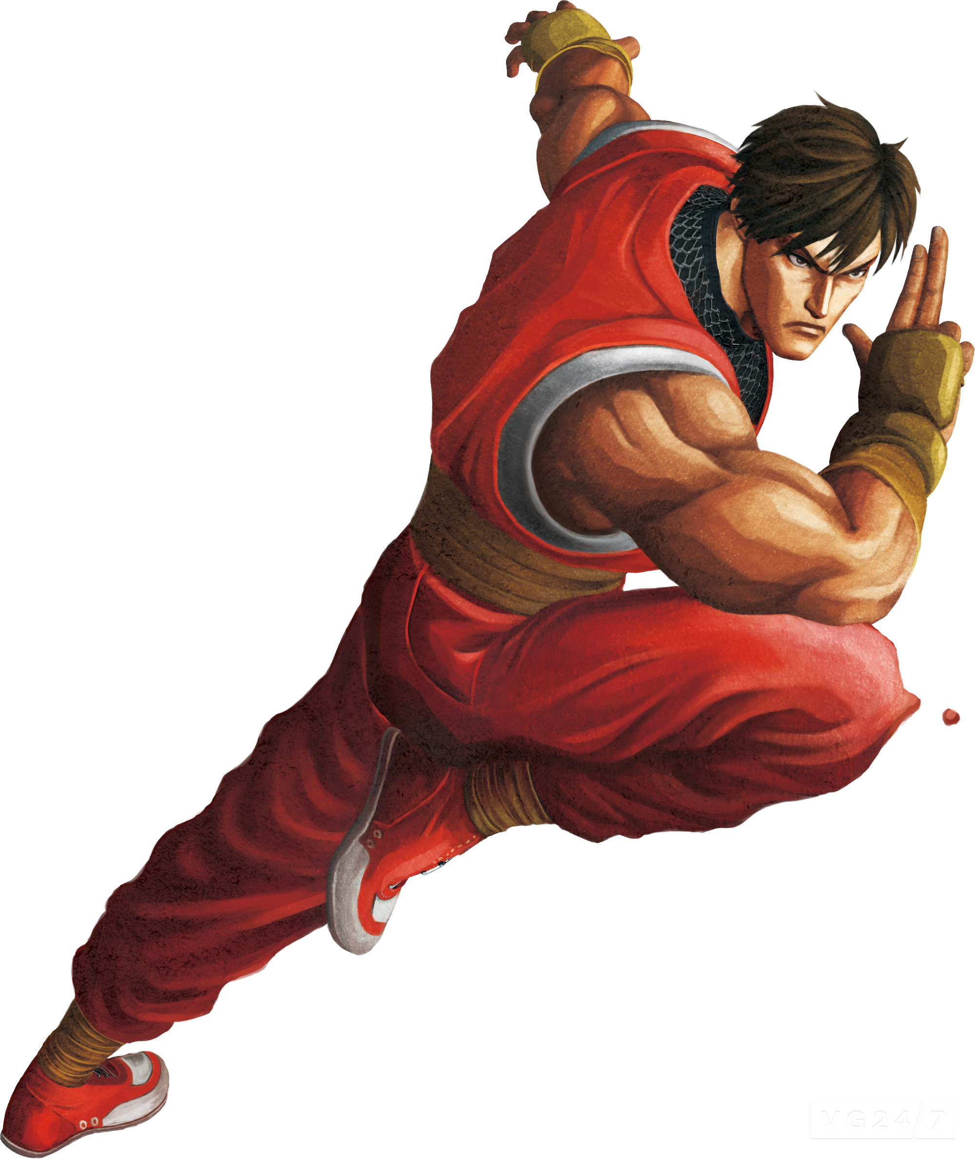 Ryu фамилия стрит файтер. Гай из стрит файтер. Fighting wiki. Боб сапп 2007. Стрит файтер fight.