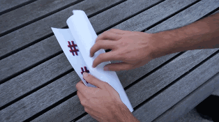 FlyingFlyer2