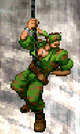 Commando Rappel