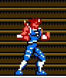 Hiryu nes sprite
