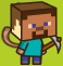SKLS Steve