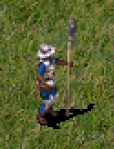 Pikenier Stronghold 1
