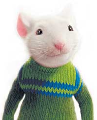 image stuart little1 jpg stuart little wiki fandom powered by