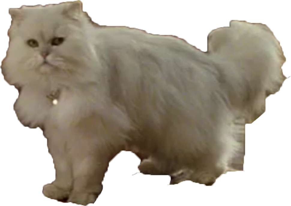 Snowbell Stuart Little Wiki FANDOM powered by Wikia