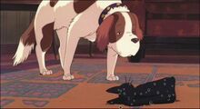 Dog Get fused