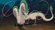 Haku Dragon For