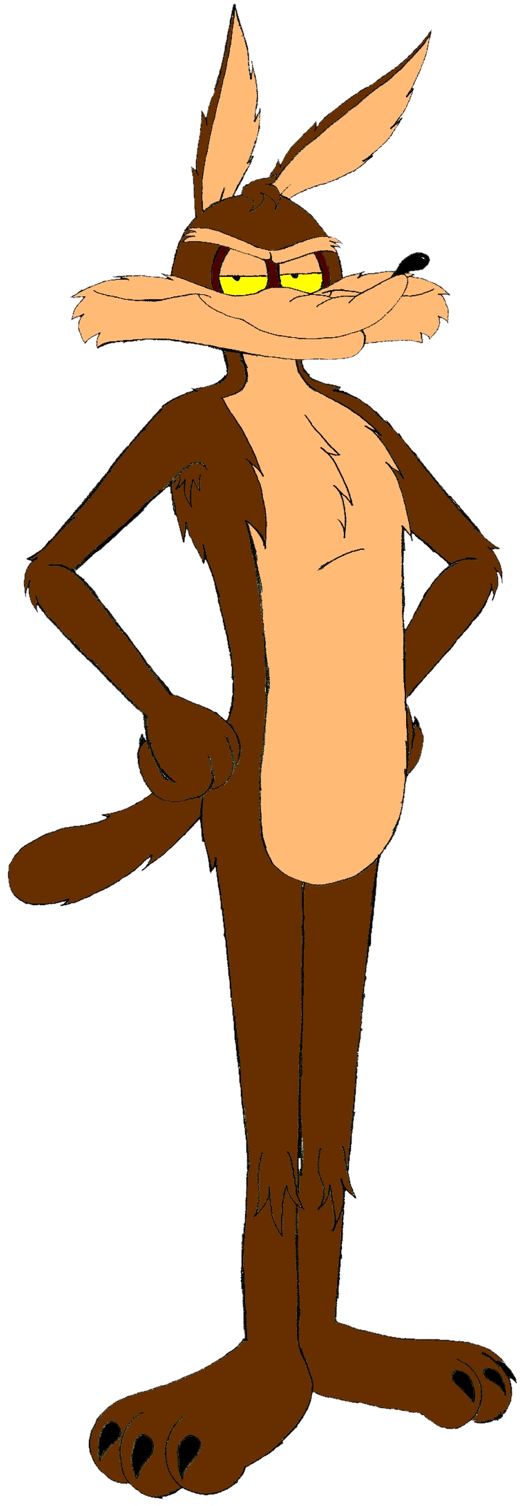 Wiley | Stuff I Write Wiki | FANDOM powered by Wikia