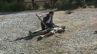 Lancelot and Arthur 01