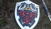 Link's Shield