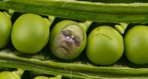 Peas in a pod