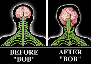 Bobbie brains