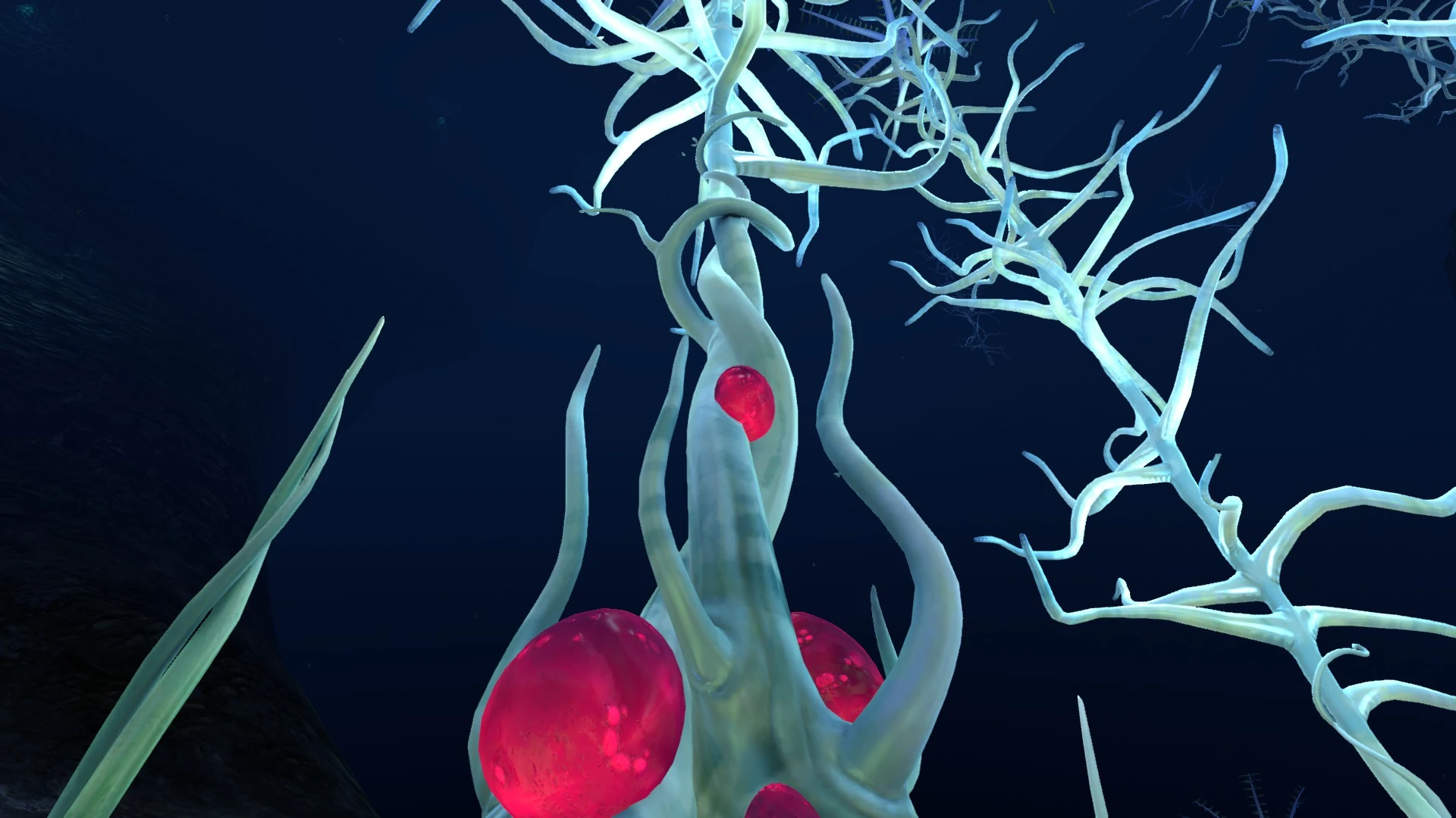 Subnautica blood kelp zone