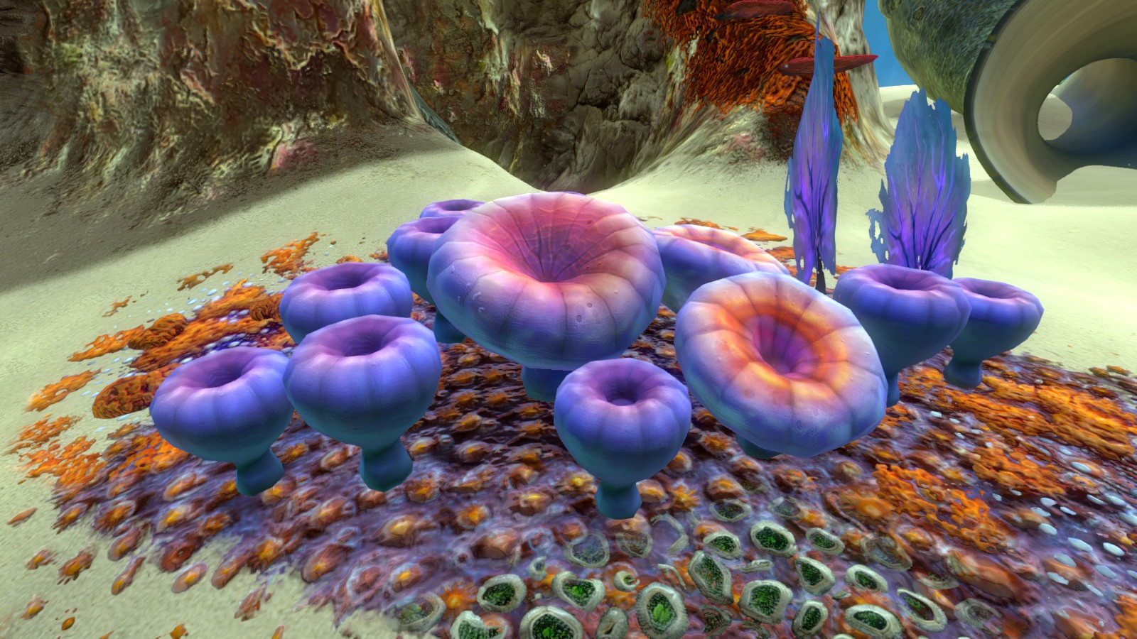 Образец гриба subnautica где найти