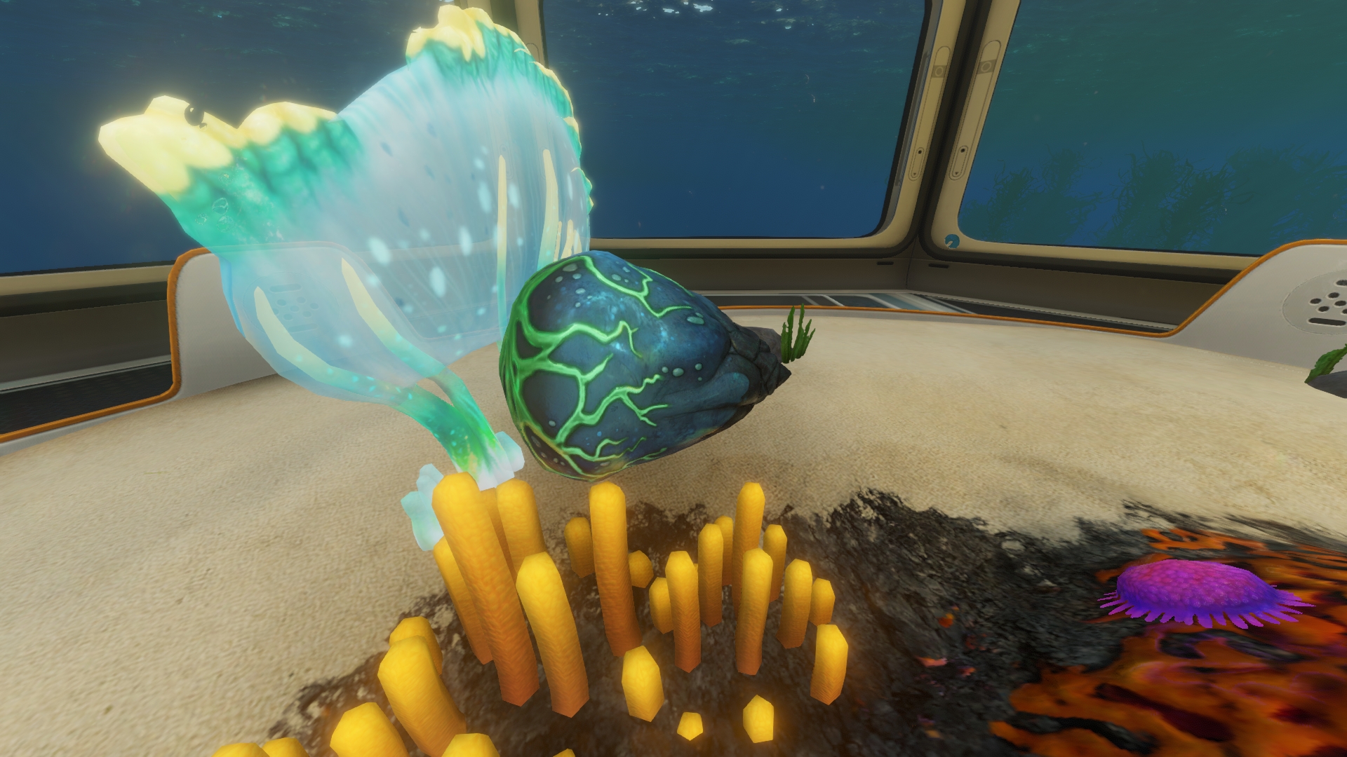 Le Jeux Du Calmar Saison 2 Calmar-crabe | Wikia Subnautica | Fandom