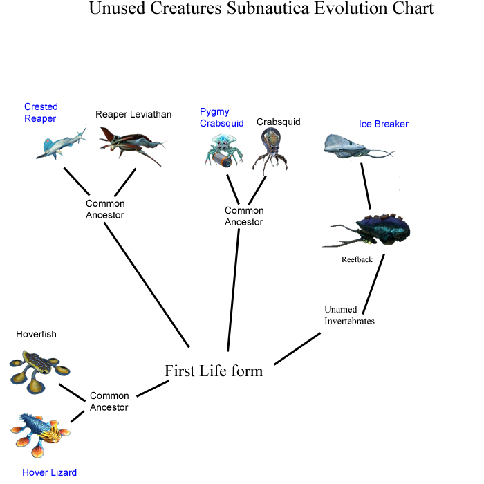 Unused Subnautica creature evolution chart