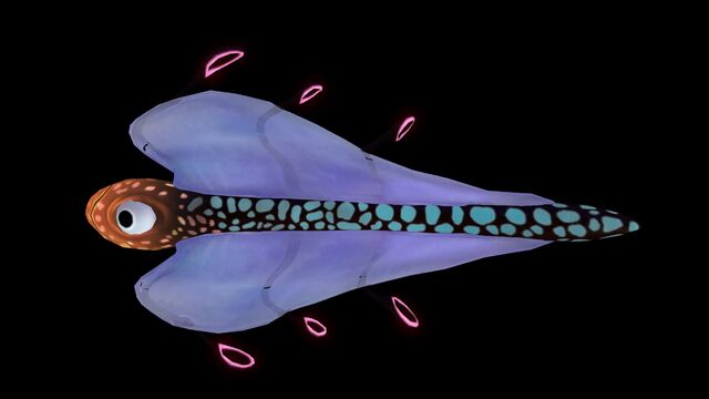 File:Bladderfish2.jpg