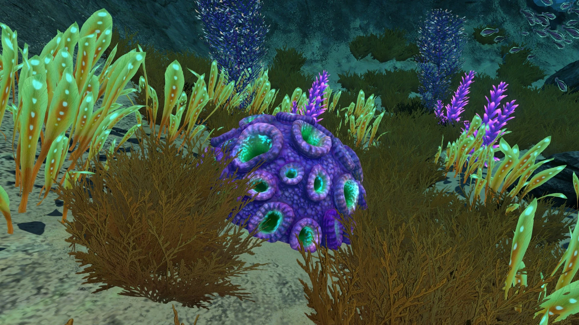 Corail cerveau Wikia Subnautica Fandom
