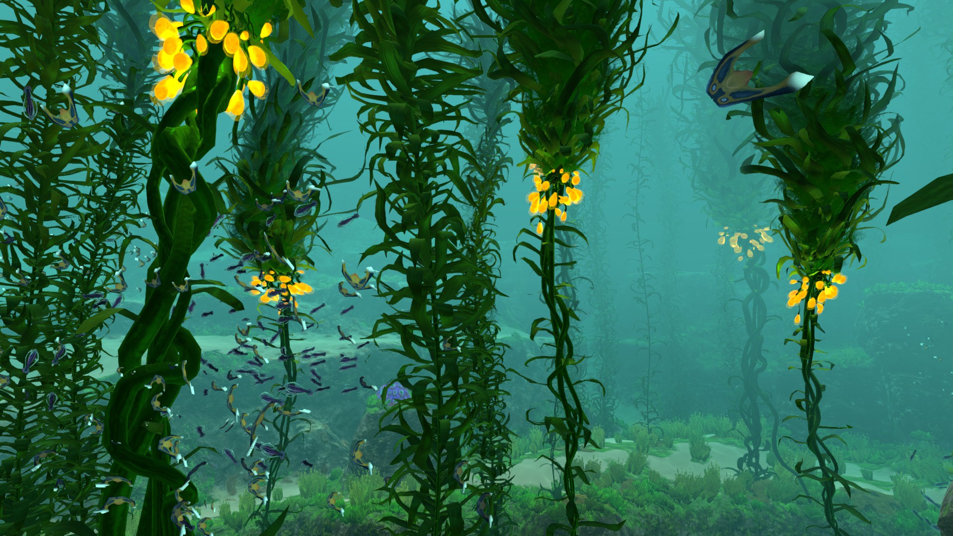 Subnautica водоросль. Сабнатика лес водорослей. Subnautica водоросли. Сабнатика Kelp Forest. Растения под водой.