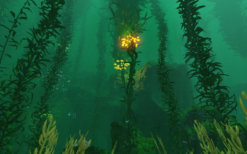 Kelp Forest | Subnautica Wikia | Fandom