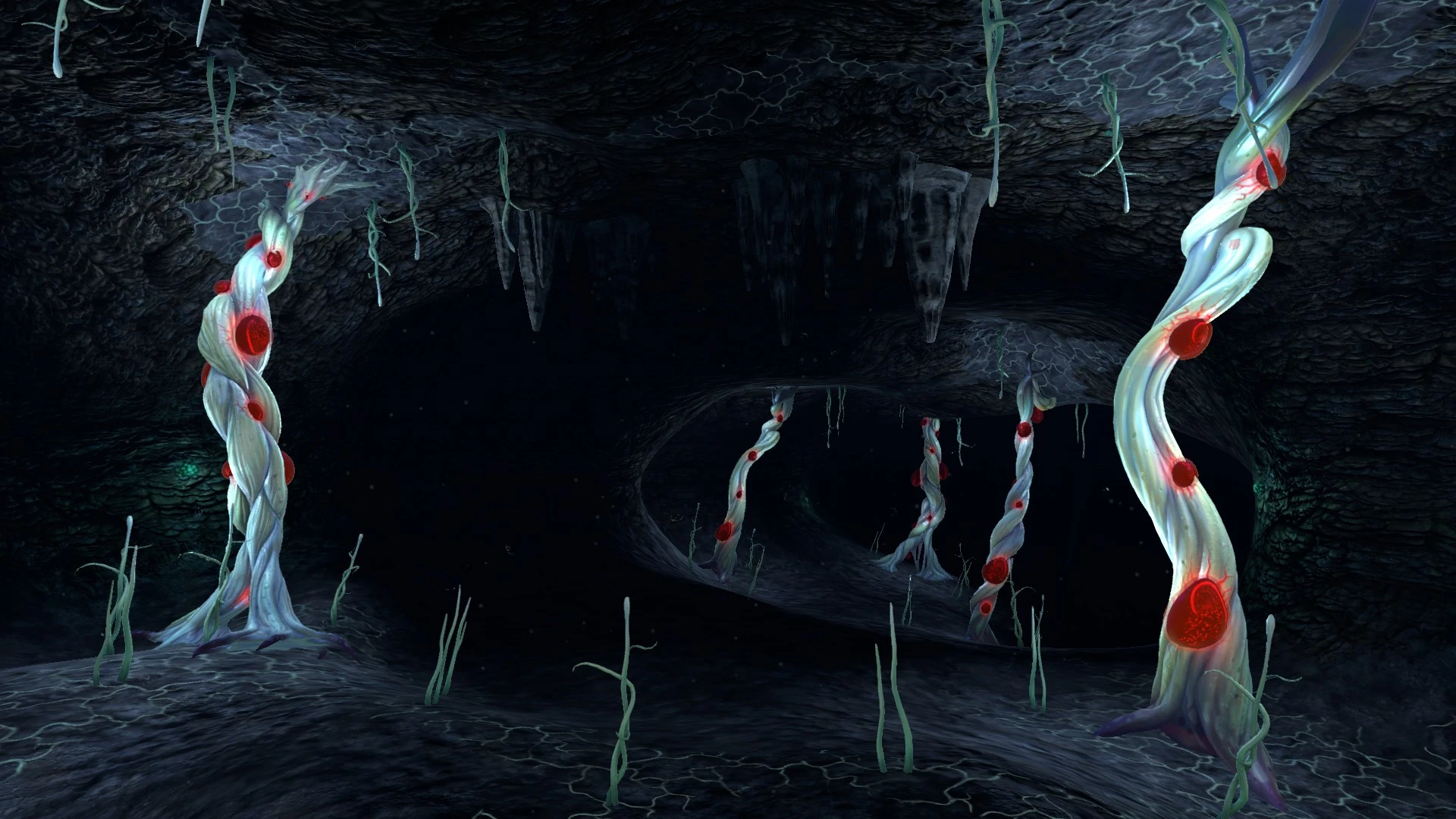 Image Blood Kelp Caves (01).jpg Subnautica Wiki FANDOM powered by